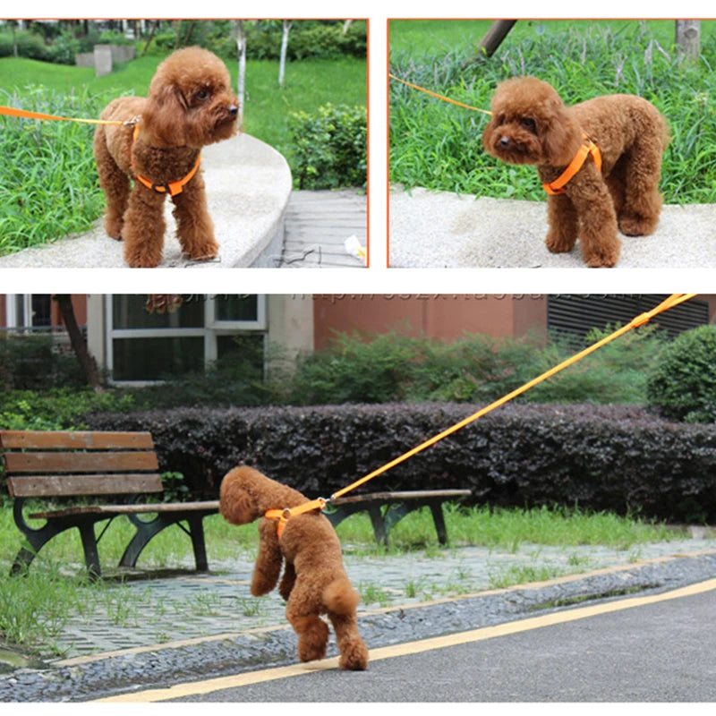 Pet Safety Harness Dog Accessories Flashing with Light Leashes