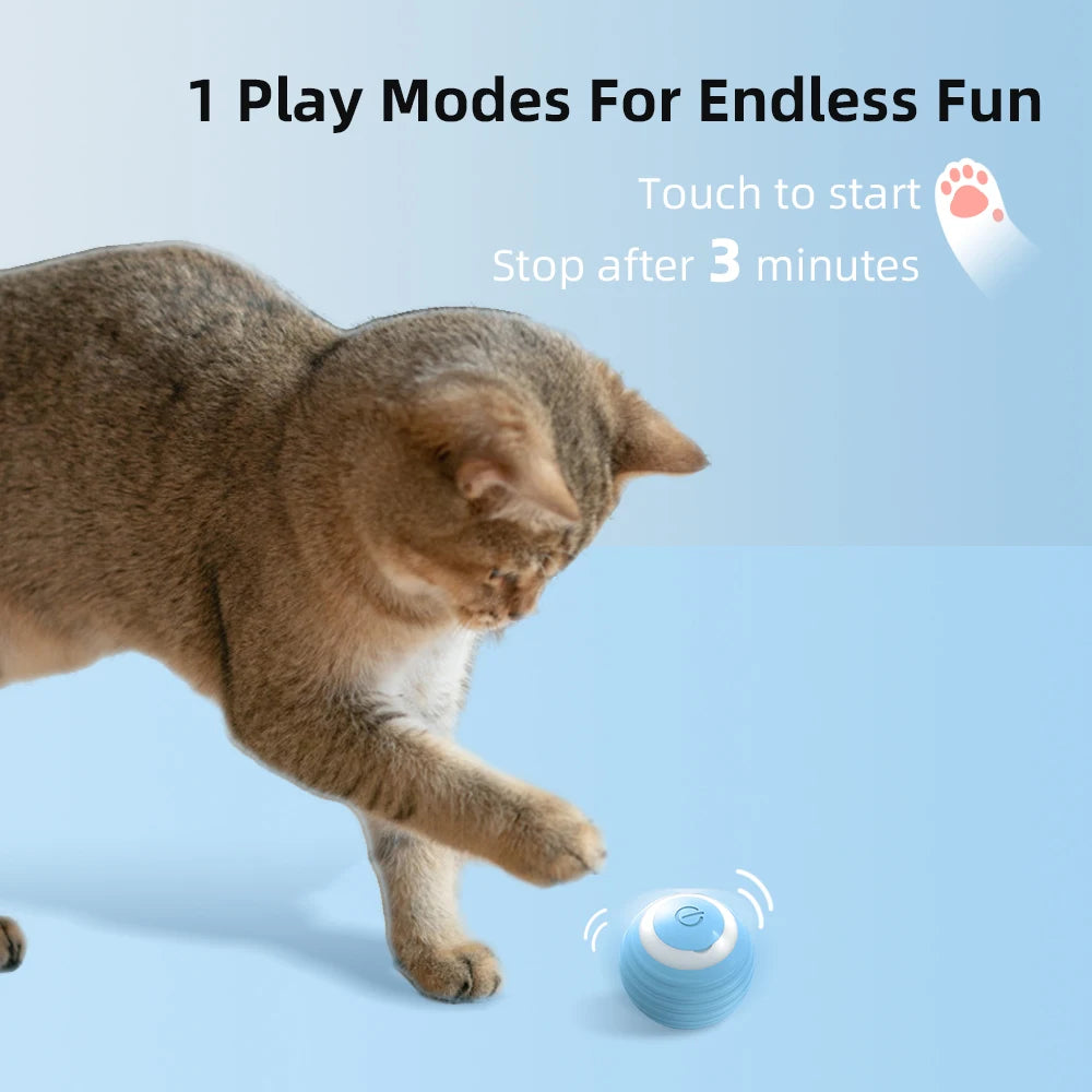 Electronic Interactive Smart Ball for Cats
