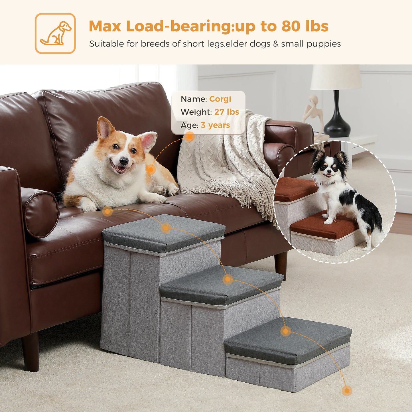 Foldable 2-in-1 Pet Steps Stair and Ladder