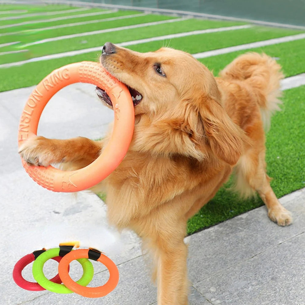 Pet Flying Disk Training Ring Puller