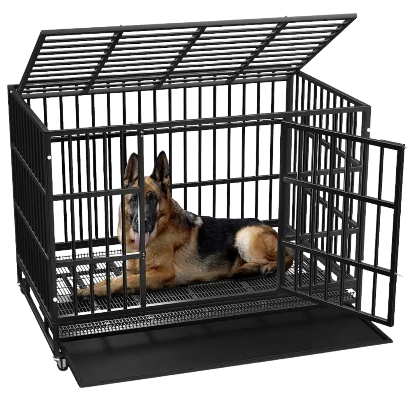 Heavy Duty Escape Proof Dog Crate
