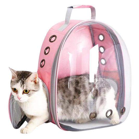 Transparent Capsule Bubble Pet Backpack