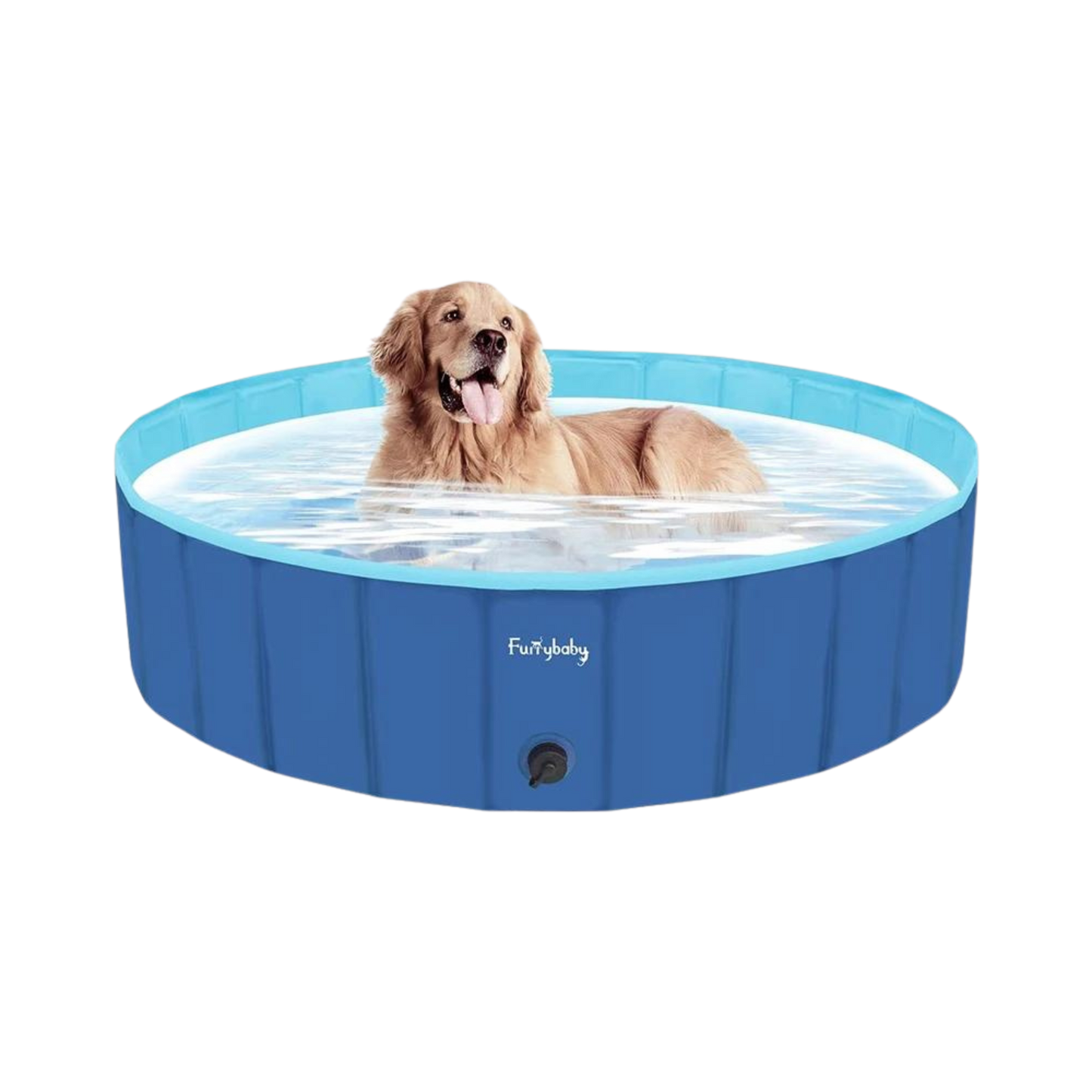 Piscina plegable para perros para exteriores 