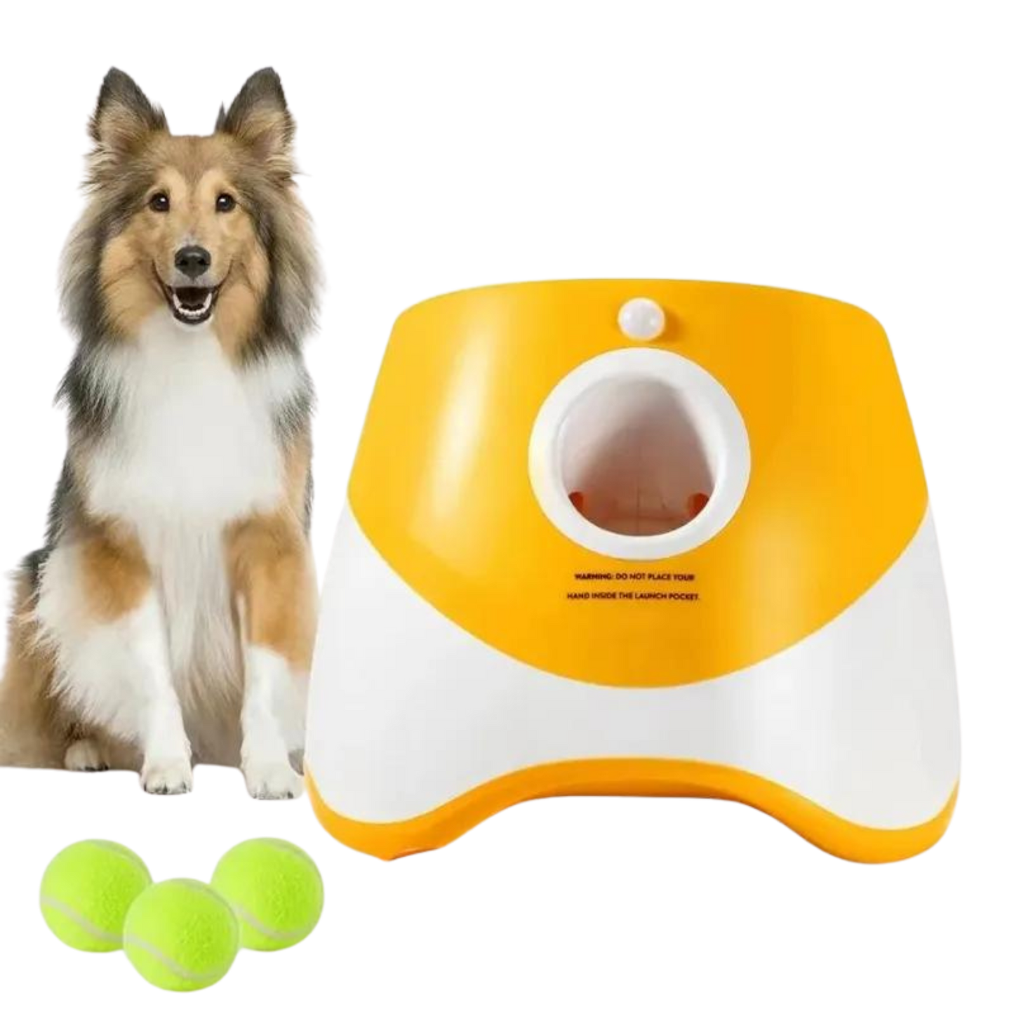 Automatic Dog Tennis Launcher Toy