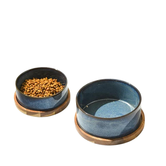 Ceramic Cat Food Bowl