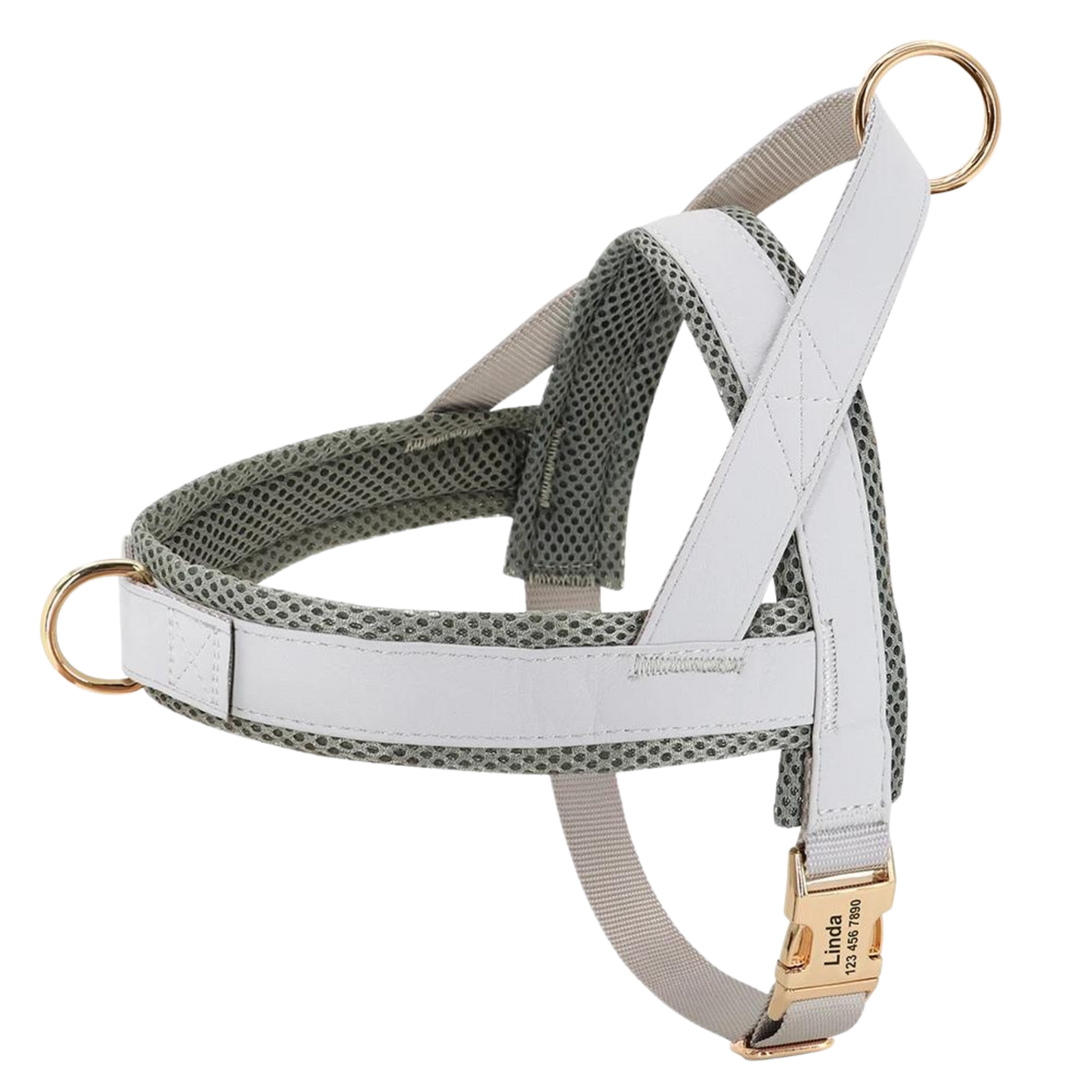 Personalized No-Pull Dog Harness