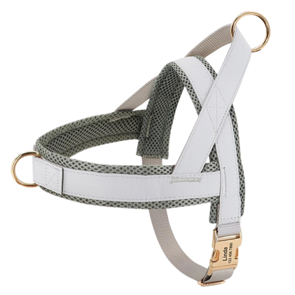 Personalized No-Pull Dog Harness