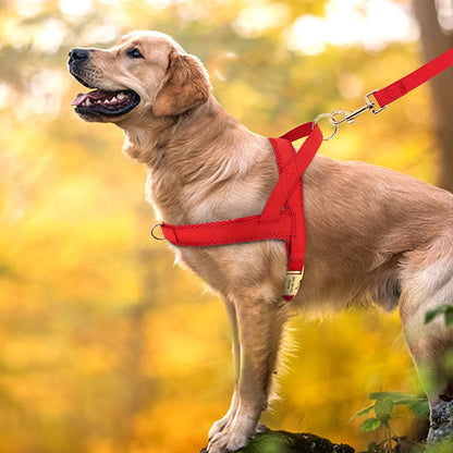 Personalized No-Pull Dog Harness