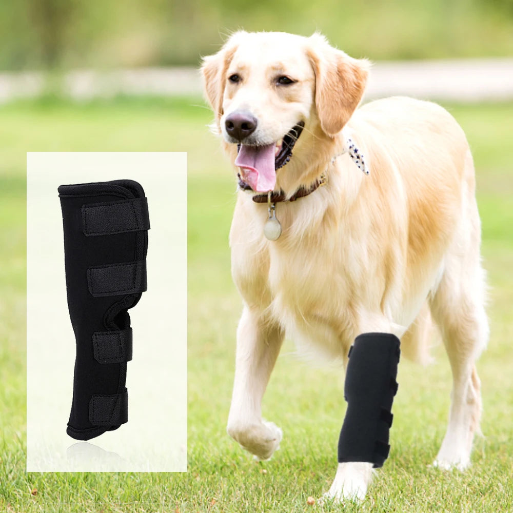 Leg Knee Pads for Dogs Recovery Bandage