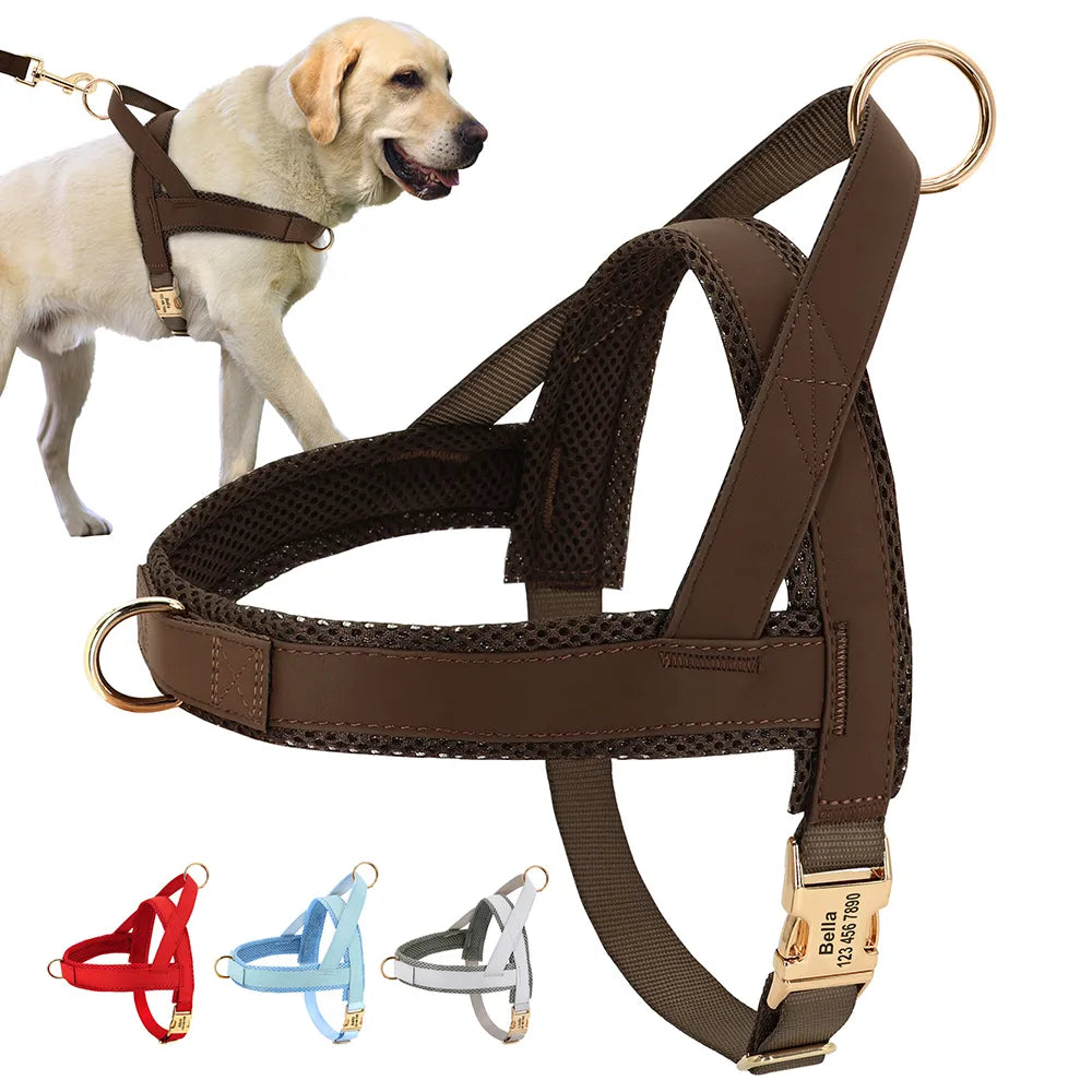 Personalized No-Pull Dog Harness