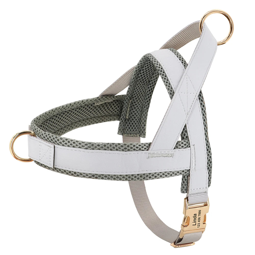 Personalized No-Pull Dog Harness