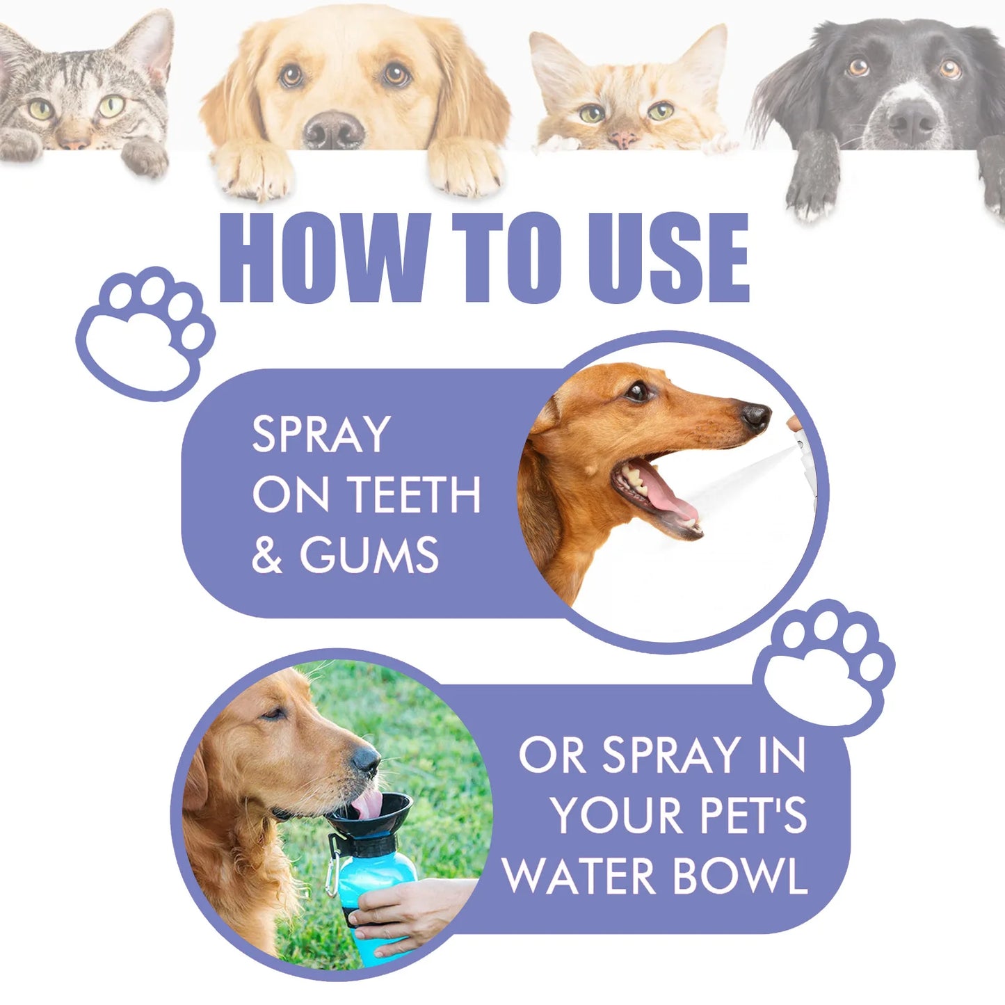 Pet Oral Care Spray