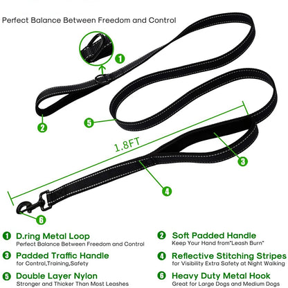 Double-layer Side Reflective Traction Dog Leash