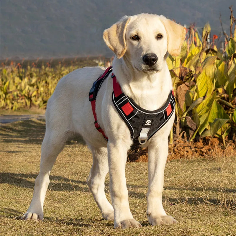 Adjustable Pet Reflective Training Collar