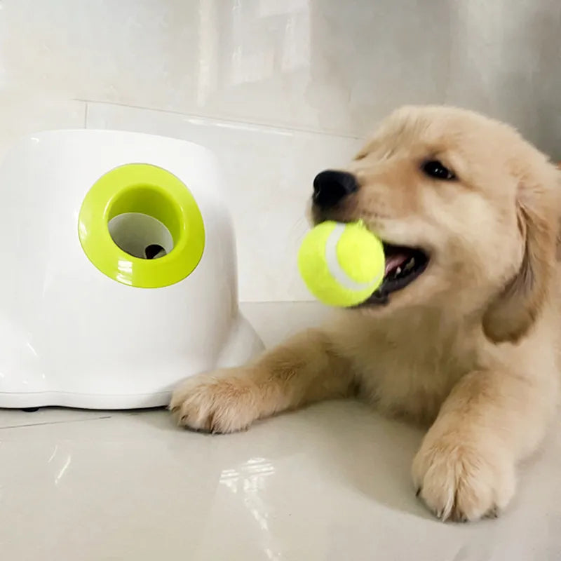 Automatic Dog Ball Launcher