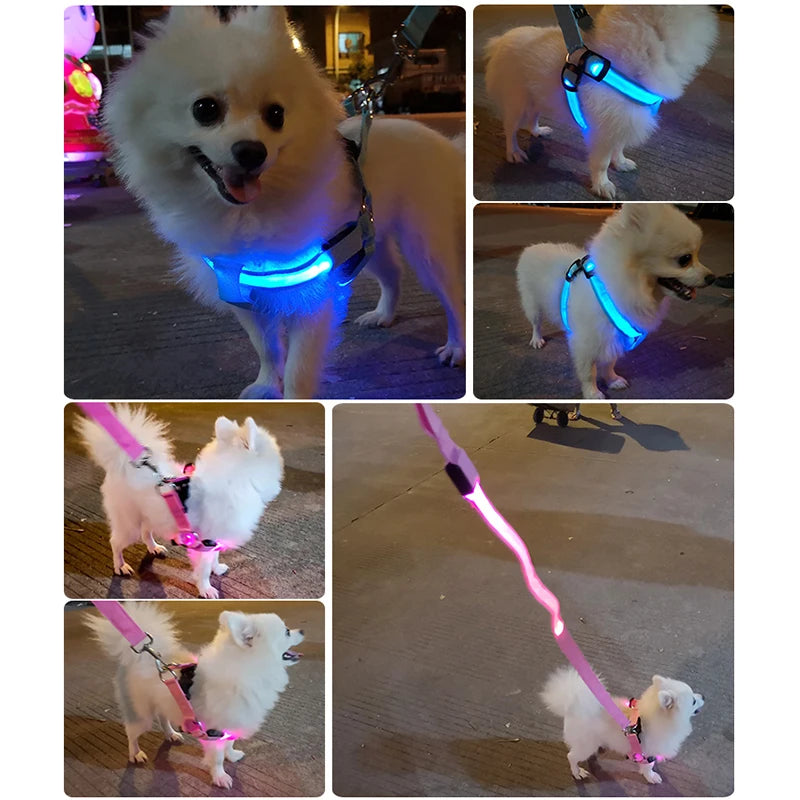 Pet Safety Harness Dog Accessories Flashing with Light Leashes