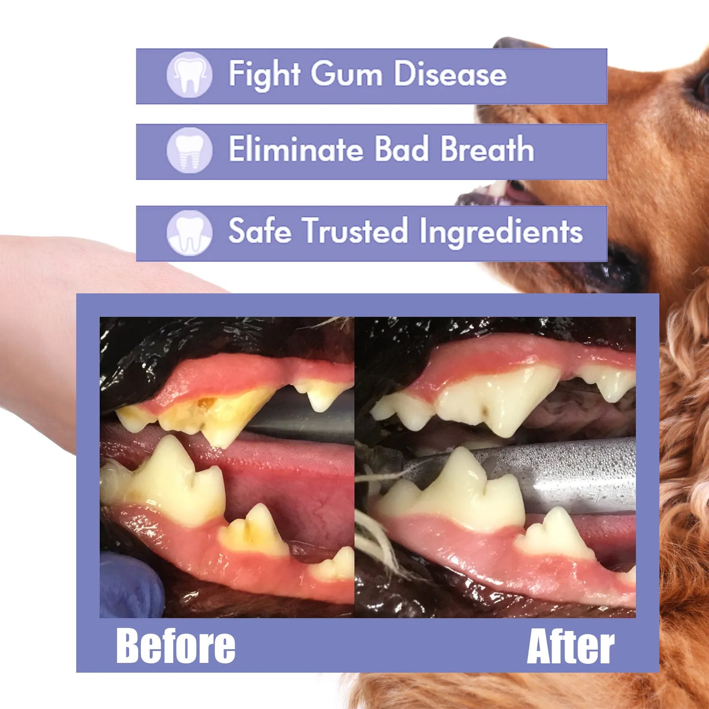 Pet Oral Care Spray