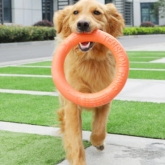 Pet Flying Disk Training Ring Puller