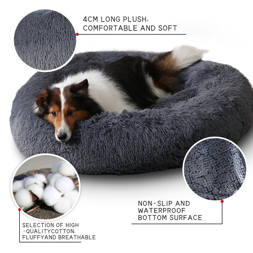 King Dog Bed Sofa Bed