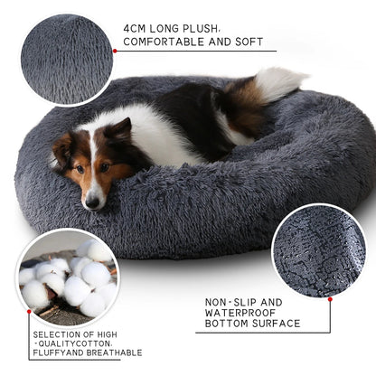 King Dog Bed Sofa Bed