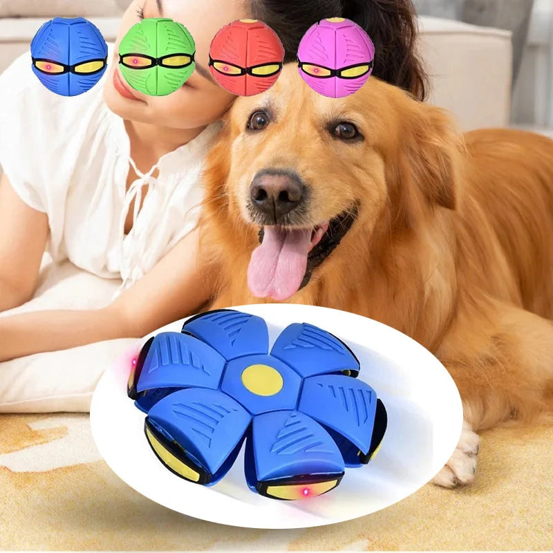 Flying Saucer Ball Magic Toys For Pets