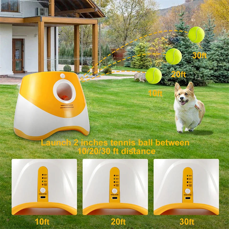 Automatic Dog Tennis Launcher Toy