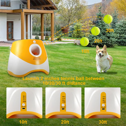 Automatic Dog Tennis Launcher Toy