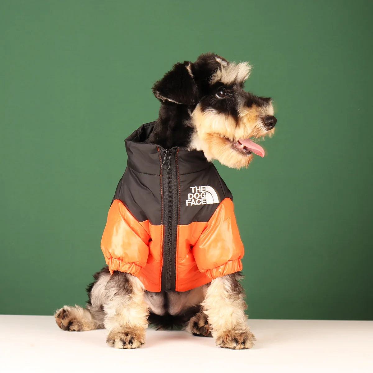 Reflective Winter Jacket for Pets