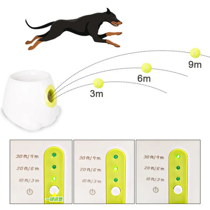 Automatic Dog Ball Launcher