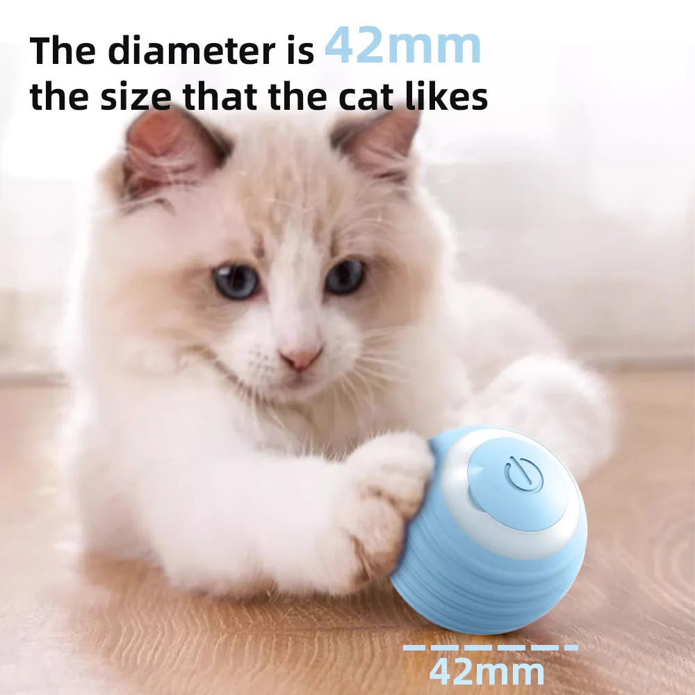 Electronic Interactive Smart Ball for Cats