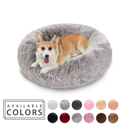 King Dog Bed Sofa Bed