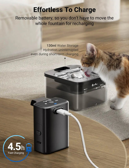 Stainless Steel Automatic Cat Water Fountain