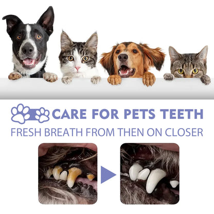 Pet Oral Care Spray