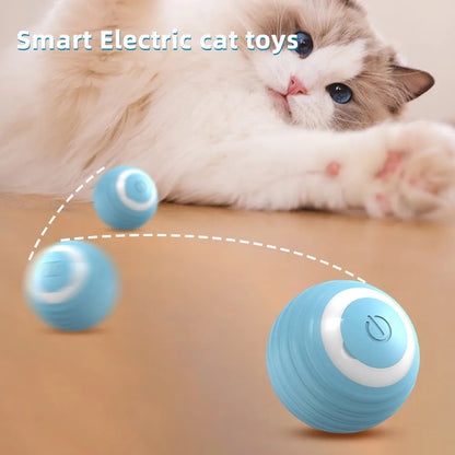 Electronic Interactive Smart Ball for Cats