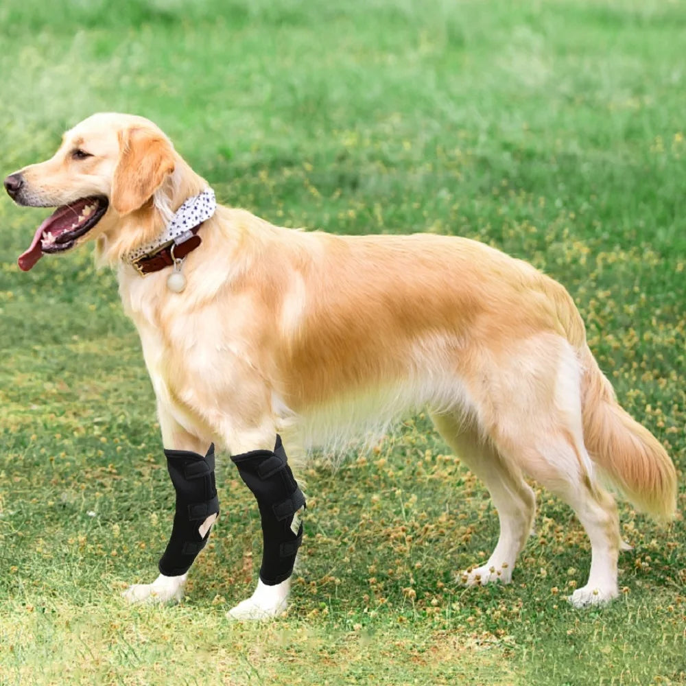 Leg Knee Pads for Dogs Recovery Bandage