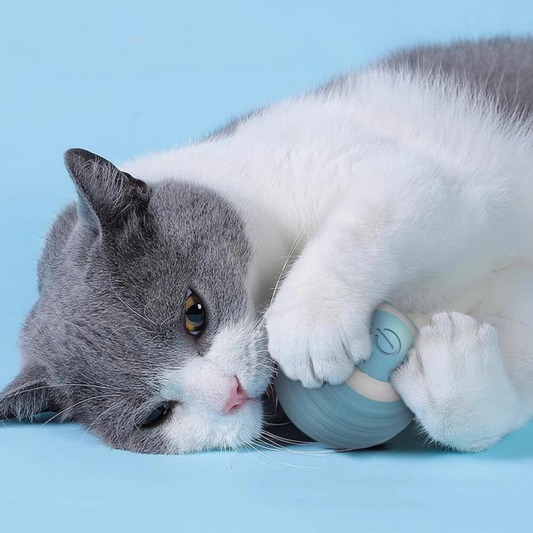 Electronic Interactive Smart Ball for Cats